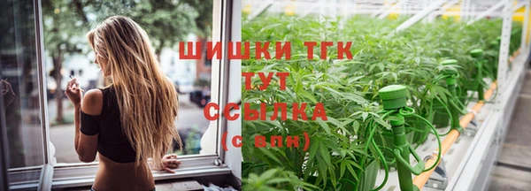 СК Арсеньев