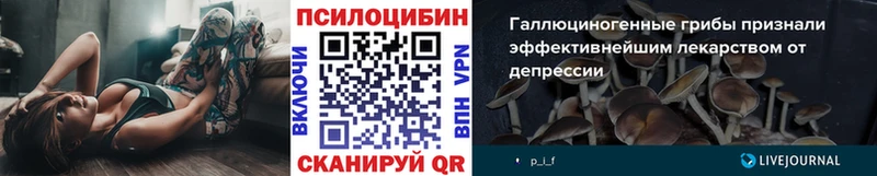 наркошоп  Свирск  mega сайт  Псилоцибиновые грибы Magic Shrooms 